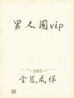 男人团vip