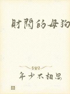 财阀的母狗们