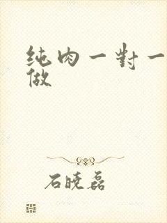 纯肉一对一到处做