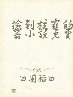 捡到校霸的遥控器小说免费阅读无弹窗