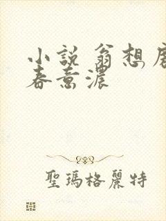 小说 翁想房中春意浓