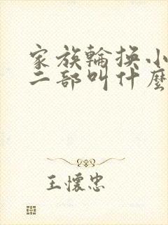 家族轮换小说第二部叫什么名字