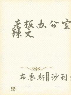 老板办公室系列辣文