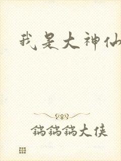 我是大神仙小说封面