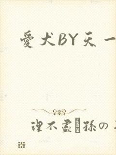 爱犬BY天一