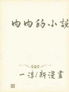 肉肉的小说