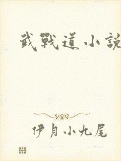 武战道小说