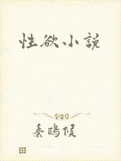 性欲小说