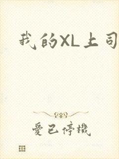 我的XL上司