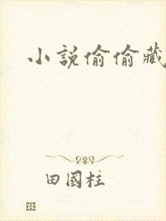 小说偷偷藏不住