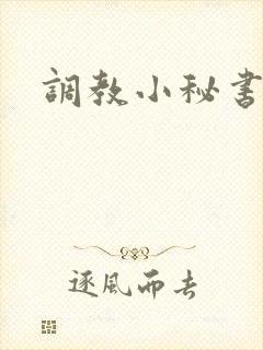 调教小秘书