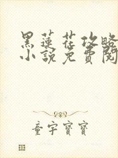 黑莲花攻略手册小说免费阅读全文