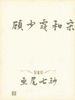 顾少霆和宋斯曼