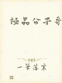 极品公子哥封面