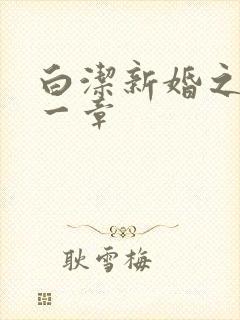 白洁新婚之夜第一章