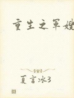 重生之军嫂封面