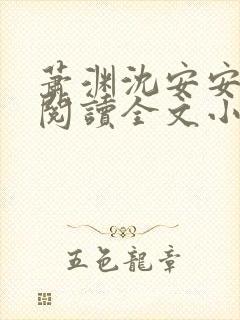 萧渊沈安安免费阅读全文小说