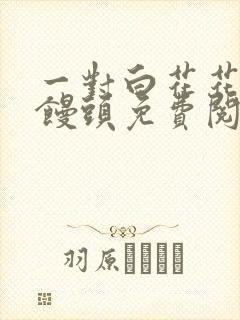 一对白花花的大馒头免费阅读封面