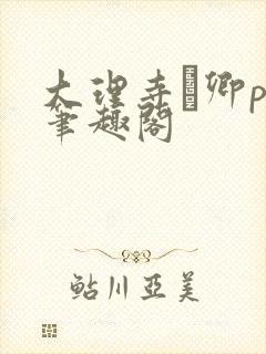 大理寺·卿po笔趣阁封面