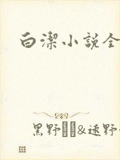 白洁小说全文