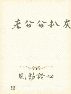 老公公扒灰小说