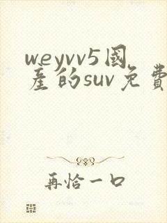 weyvv5国产的suv免费