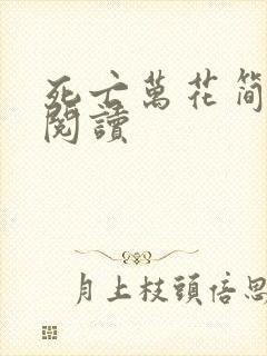 死亡万花简小说阅读封面