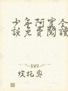 少年阿宾全文小说免费阅读笔趣阁封面