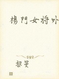 杨门女将外传