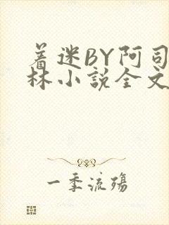 着迷BY阿司匹林小说全文免费阅读