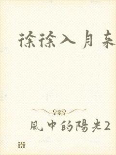 徐徐入月来