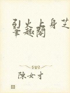 引火上身芝麻糖笔趣阁