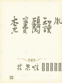 木宁顾知胤小说免费阅读