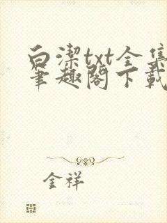 白洁txt全集笔趣阁下载封面