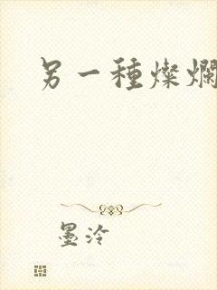 另一种灿烂生活