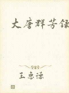大唐群芳录封面