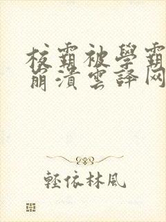 校霸被学霸玩到崩溃云译网