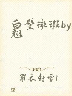 白璧微瑕by连翘