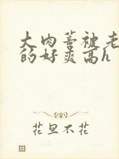 大肉蒂被老头嘬的好爽高h