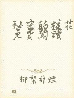 秘密的校花小说免费阅读