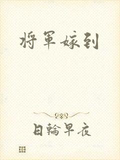 将军嫁到