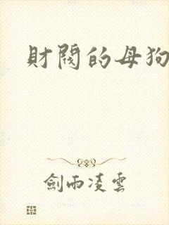 财阀的母狗们