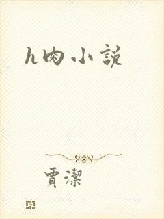 h肉小说