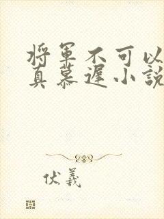 将军不可以魏云真慕迟小说笔趣阁