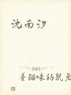 沈南汐