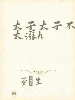 太子太子不要了太涨h