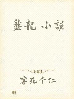 盘龙 小说