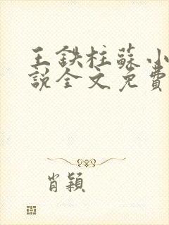 王铁柱苏小汐小说全文免费阅读最新章节封面