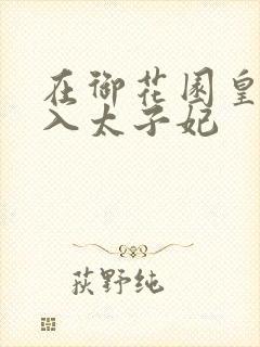 在御花园皇上进入太子妃封面