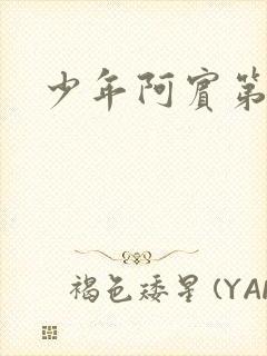 少年阿宾第二部